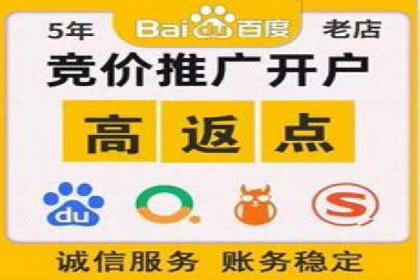 SEM竞价广告优化全攻略：经典案例解析